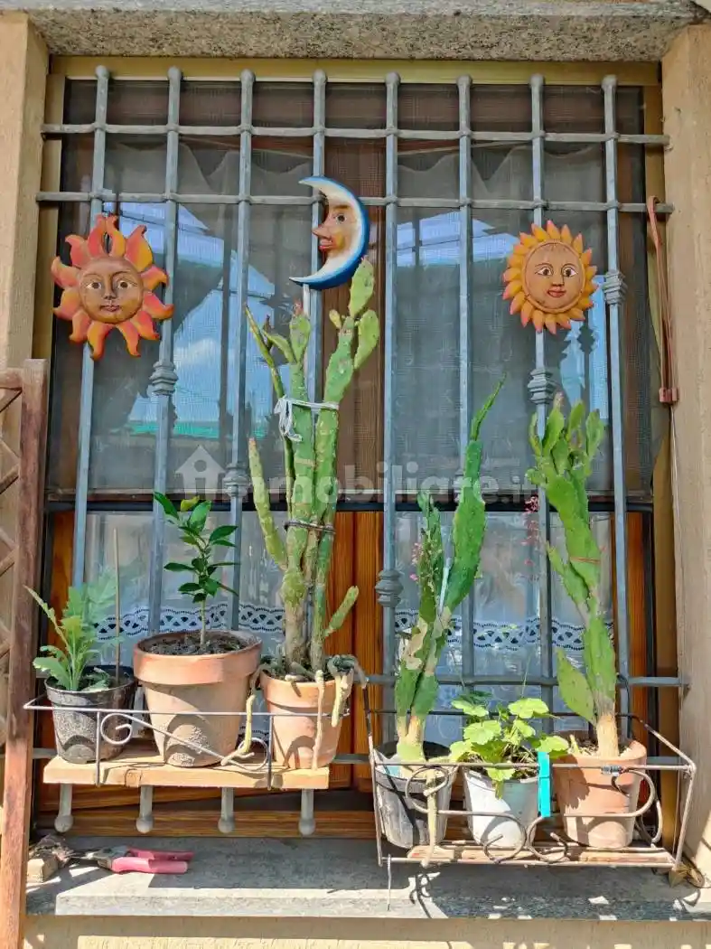 Villa plurifamiliare Strada Pecenasco 4, Palera, Moncalieri - foto 3