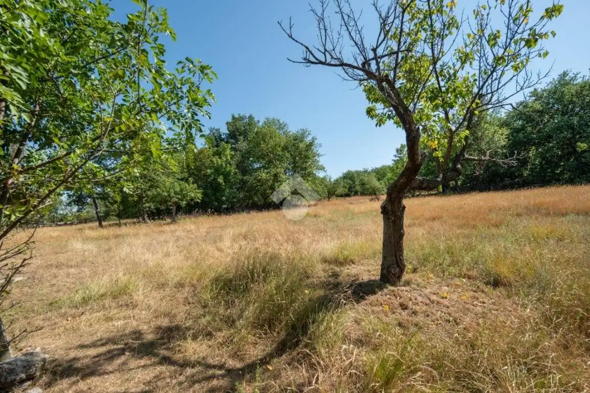 Villa bifamiliare Contrada Fonte Natale 38, Caramanico Terme - foto 4