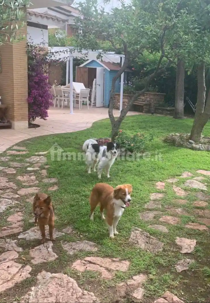 Villa plurifamiliare via Badino, Lungomare Circe, Via Badino, Terracina - foto 5