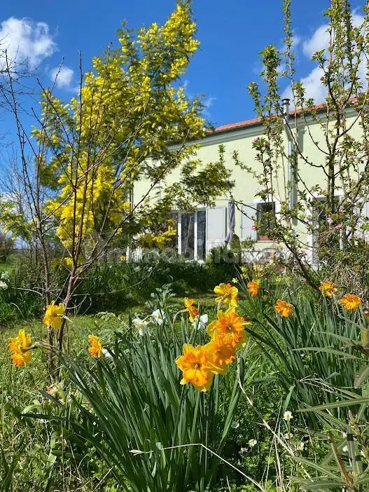 Rustico - Casale in vendita a Ferrara