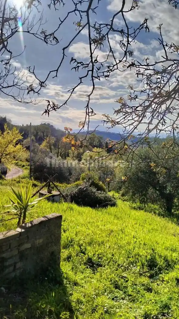 Villa bifamiliare via Santa Maria 36, Centro, Ari - foto 2