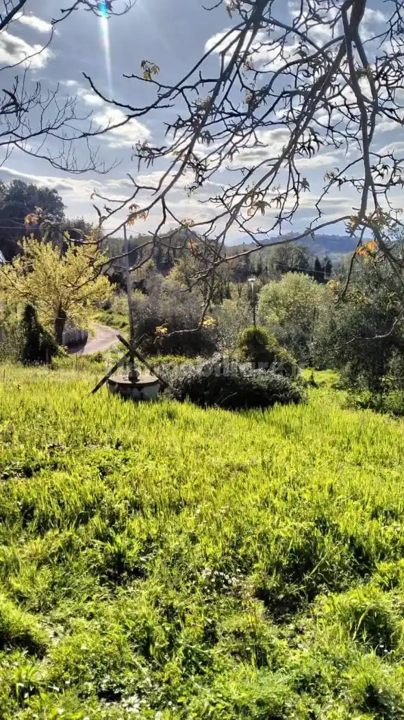 Villa bifamiliare via Santa Maria 36, Centro, Ari - foto 5