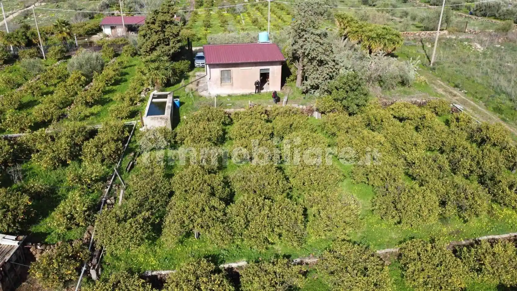 Rustico - Casale in vendita a Scordia