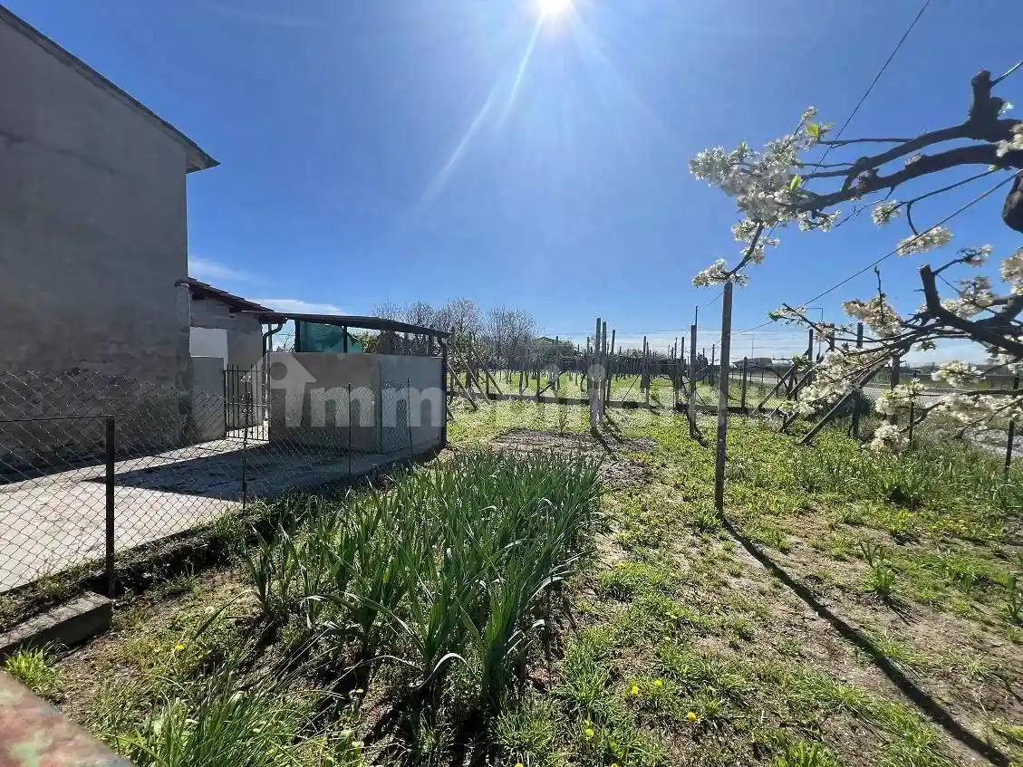 Terratetto unifamiliare via Alberia 31, Centro, Villimpenta - foto 3