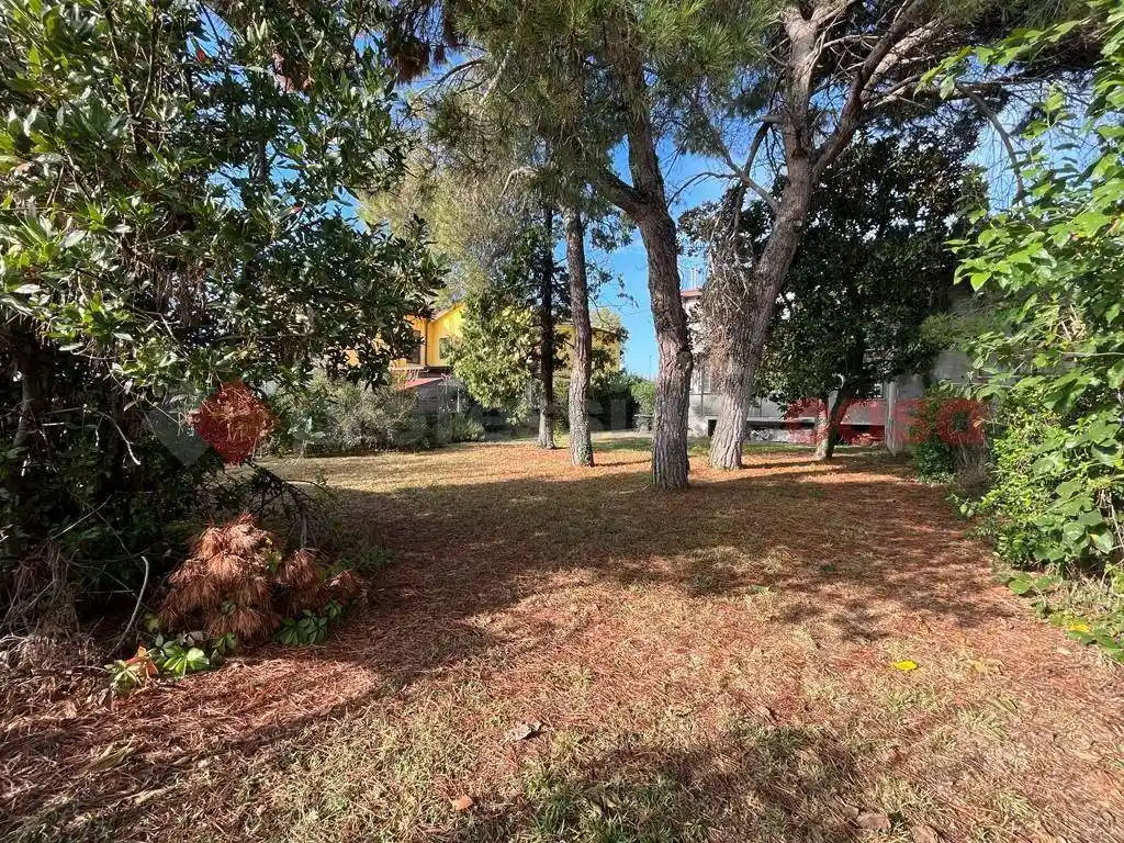 Villa in vendita a San Bonifacio