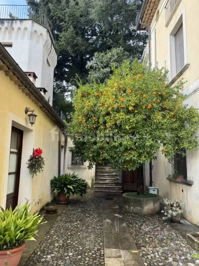 Villa unifamiliare, ottimo stato, 950 m², Marano Marchesato - foto 5