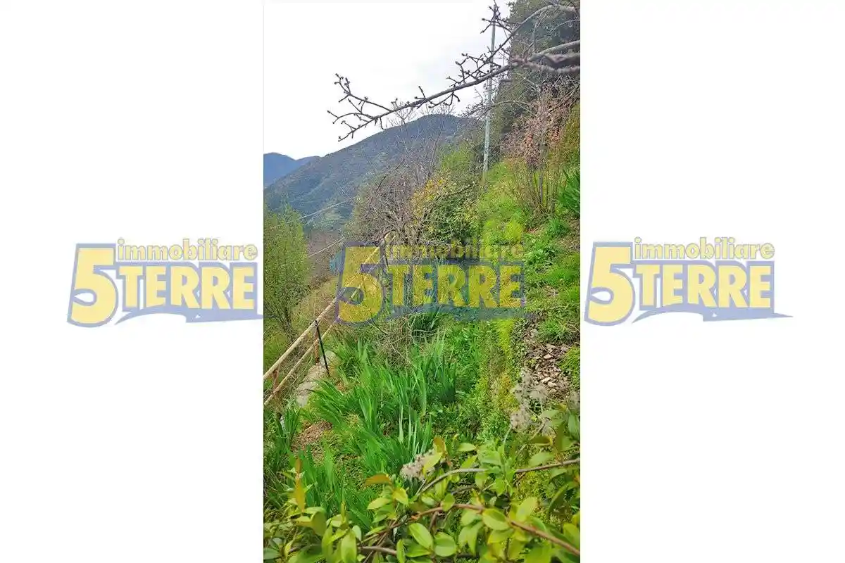 Bilocale Sp61, Vernazza - foto 4