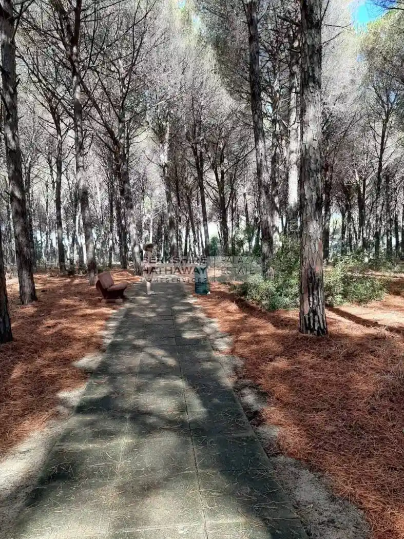 Villa unifamiliare, ottimo stato, 94 m², Pizzo - foto 3