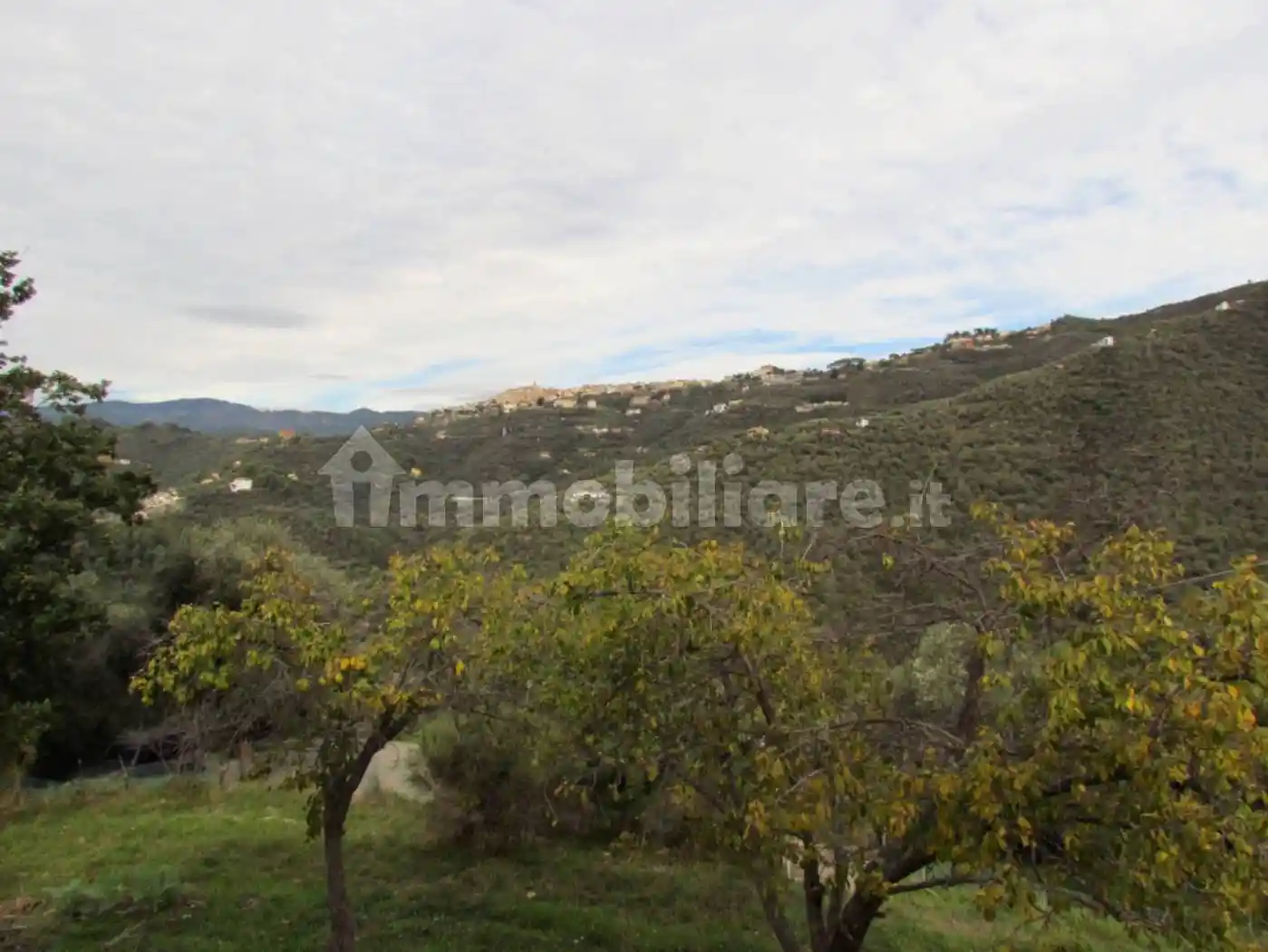 Rustico Località Curli, Perinaldo - foto 4