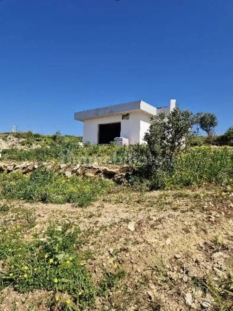 Villa unifamiliare via Colongi, Amantea - foto 2