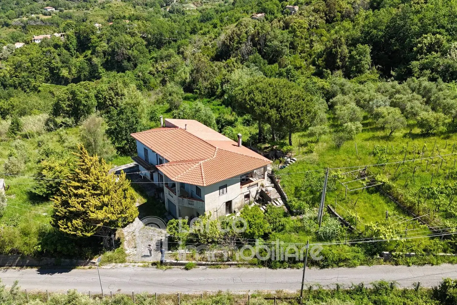 Villa in vendita a Maierà
