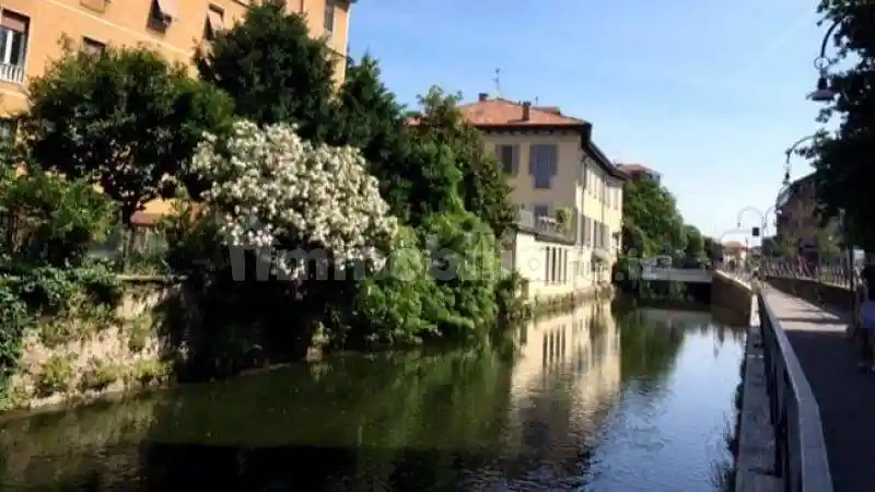 Appartamento in affitto a Milano