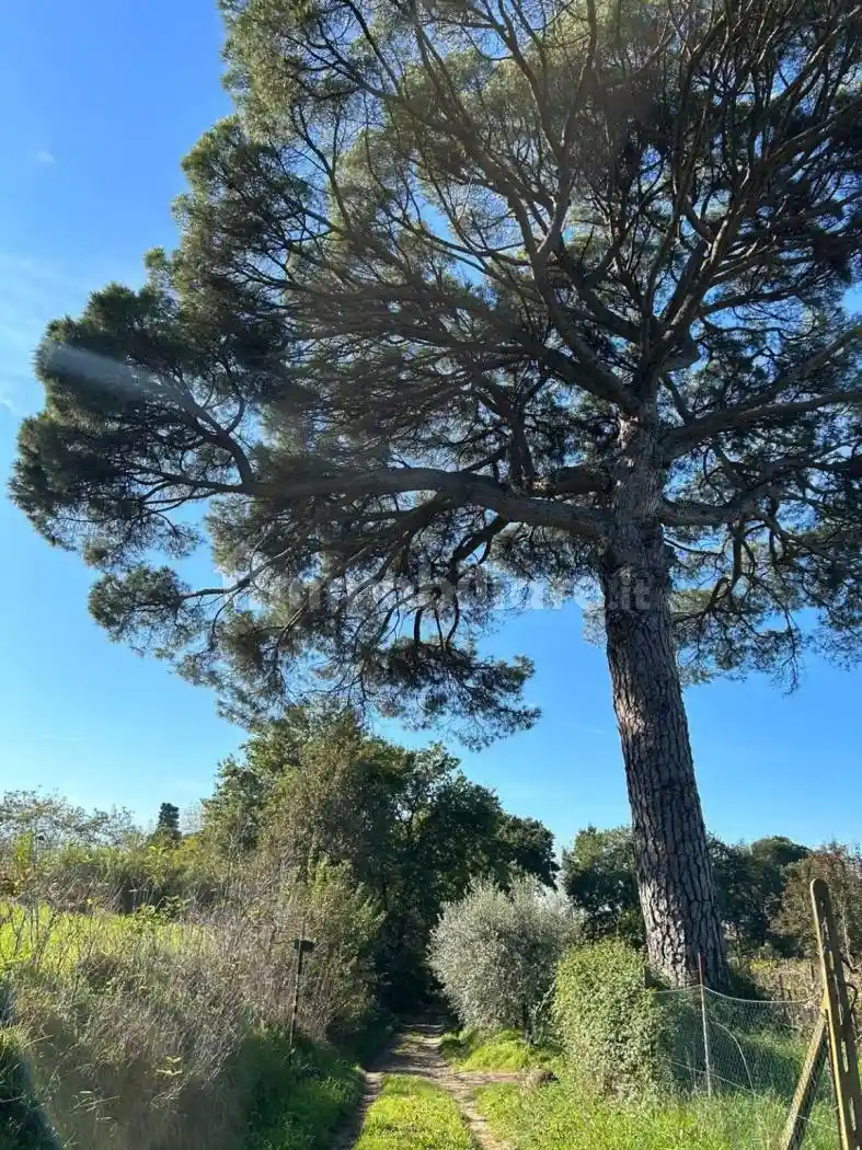 Rustico - Casale in vendita a Fucecchio