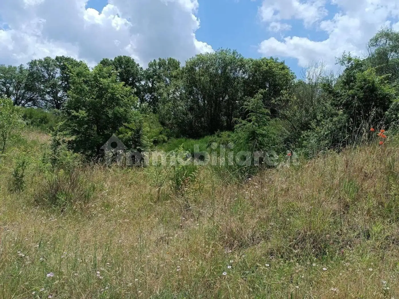 Monolocale via Giuseppe Mazzini, 8, Centro, Celleno - foto 3