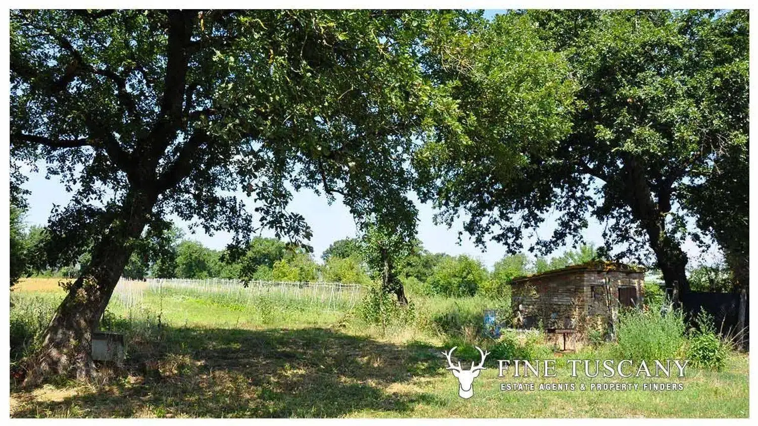 Villa unifamiliare Loc. Casa Piccini, Chiusdino - foto 2