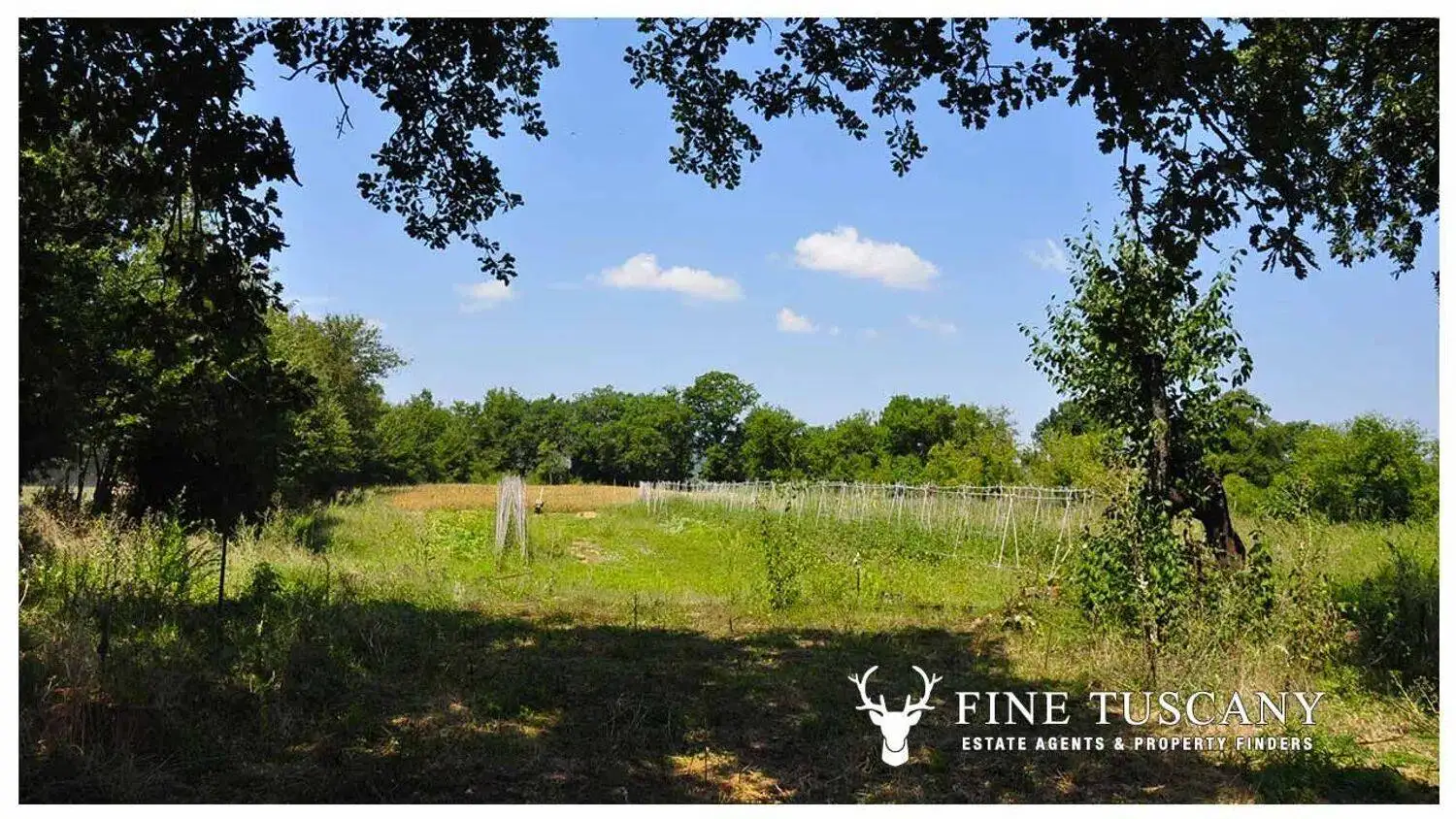 Villa unifamiliare Loc. Casa Piccini, Chiusdino - foto 3