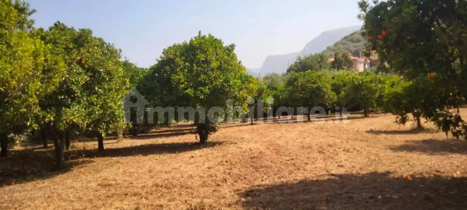 Baita via Vittorio De Sica 11, Olevano sul Tusciano - foto 4