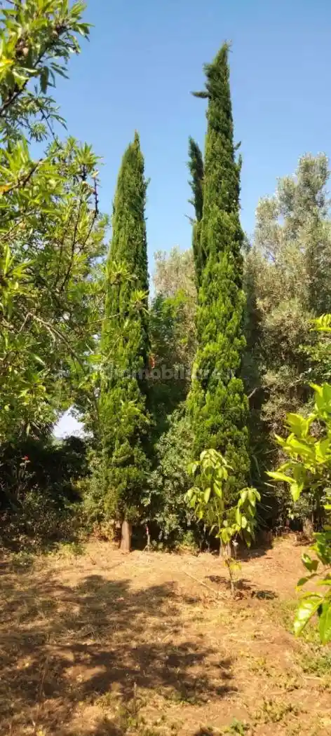 Baita via Vittorio De Sica 11, Olevano sul Tusciano - foto 5