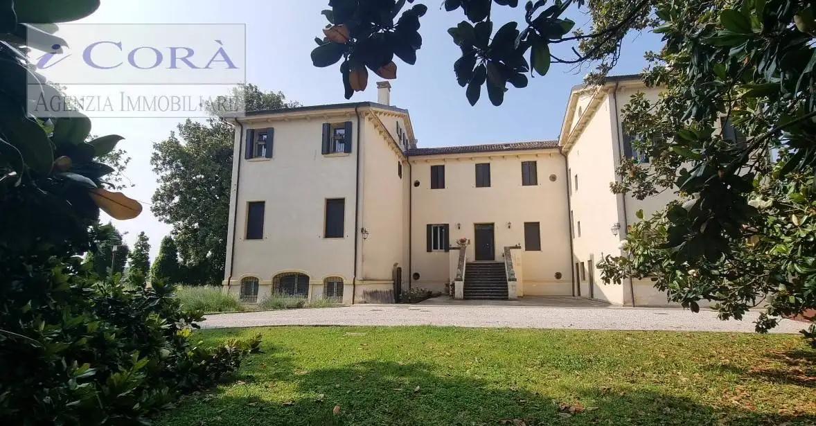 Appartamento in vendita a Cervarese Santa Croce