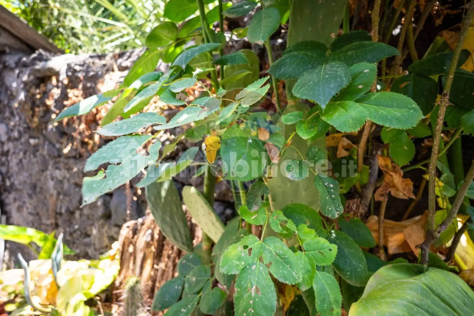 Terratetto unifamiliare vicolo Soldato Leone Alfio 13 -14, Centro, Aci Bonaccorsi - foto 4