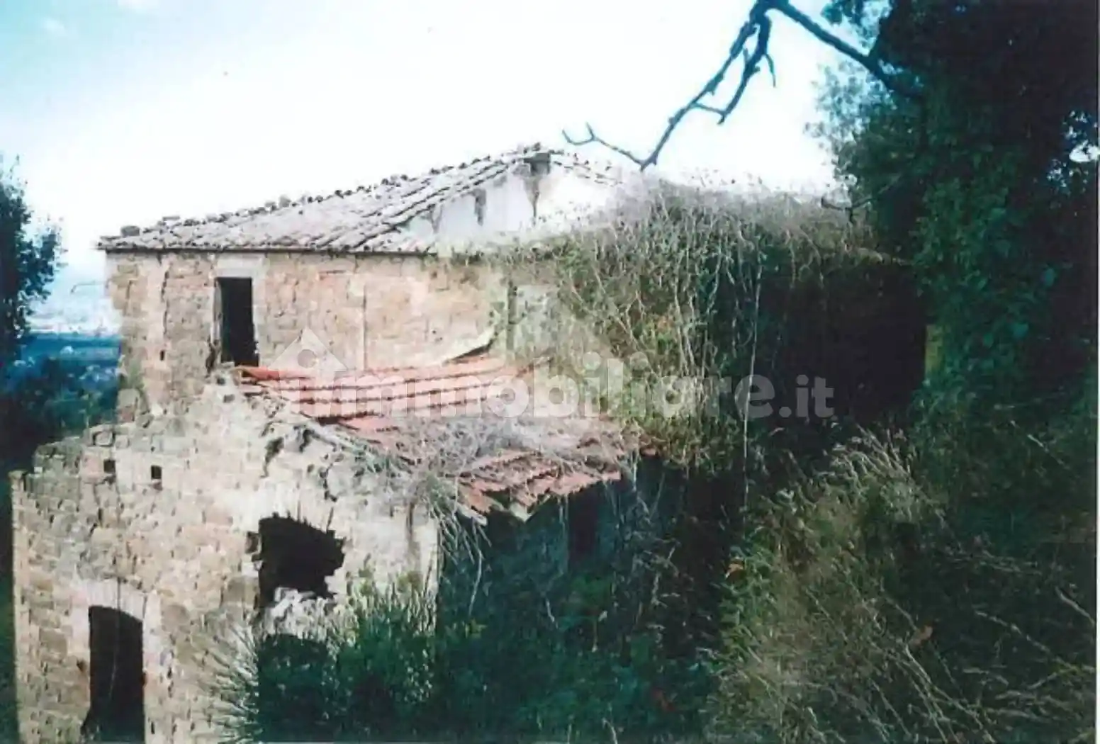 Rustico - Casale - foto 3