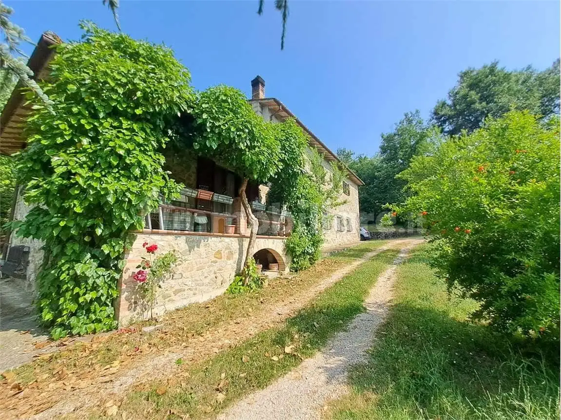 Rustico - Casale in vendita a San Venanzo