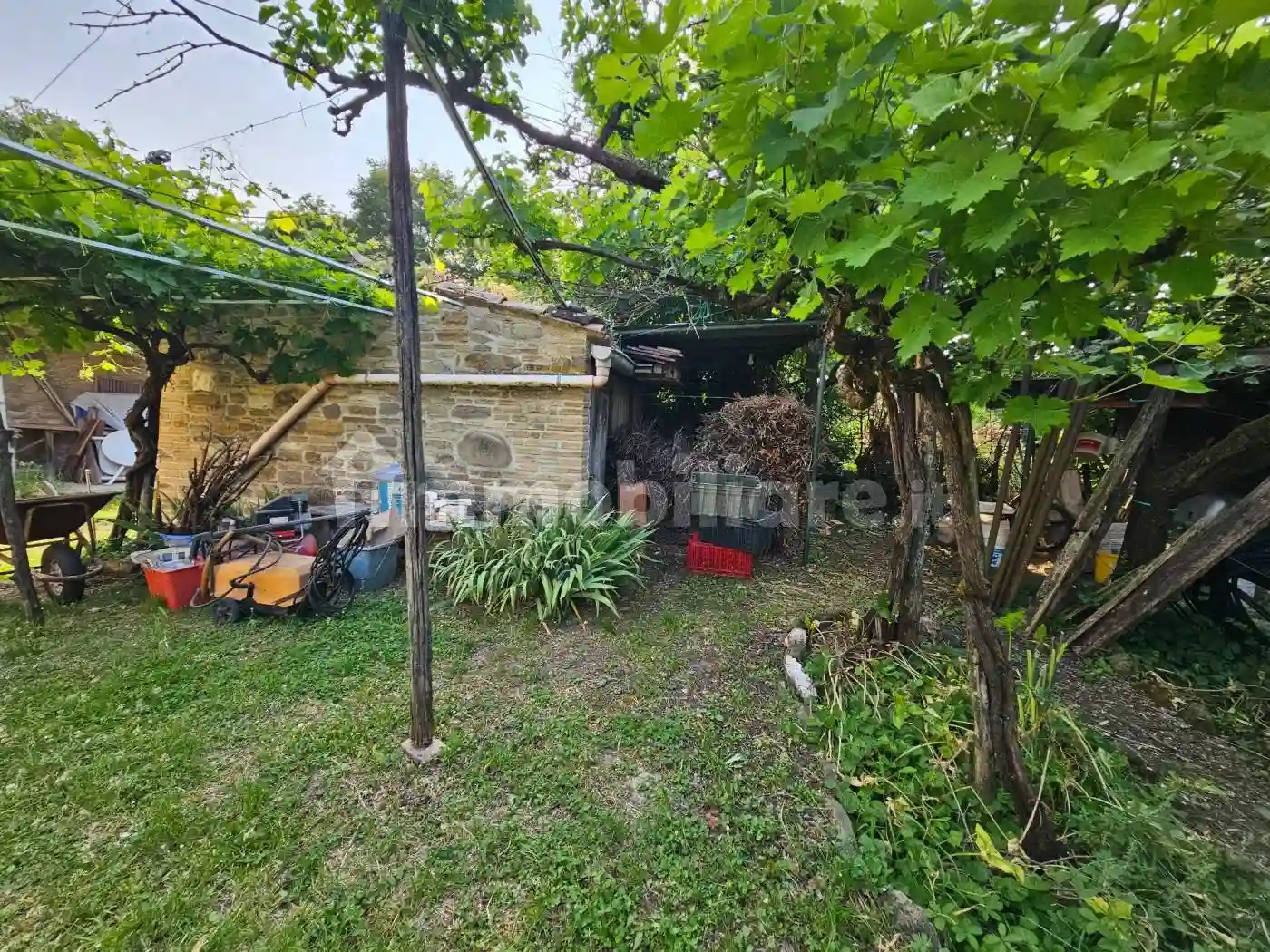 Rustico - Casale - foto 4