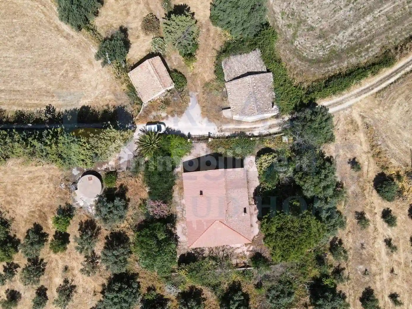 Rustico - Casale - foto 3