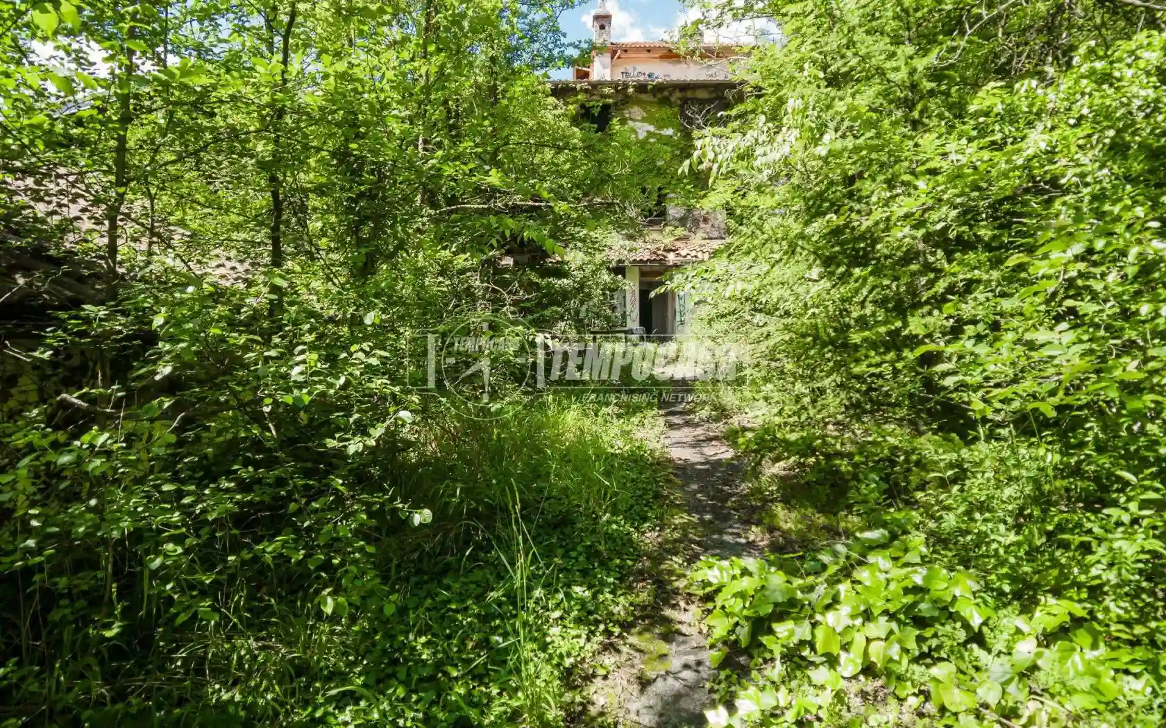 Palazzo - Edificio - foto 3