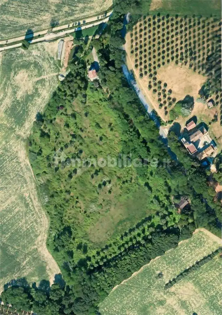 Villa in asta a Ostra