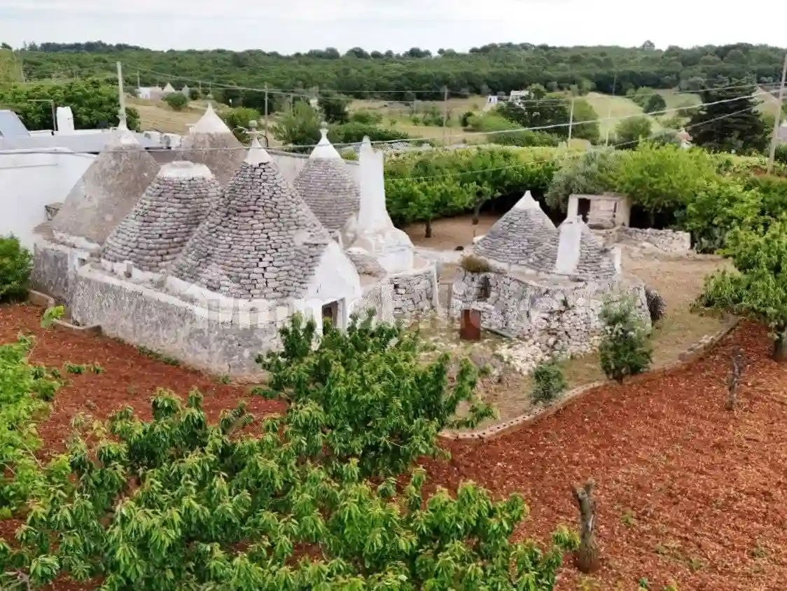 Rustico - Casale - foto 3