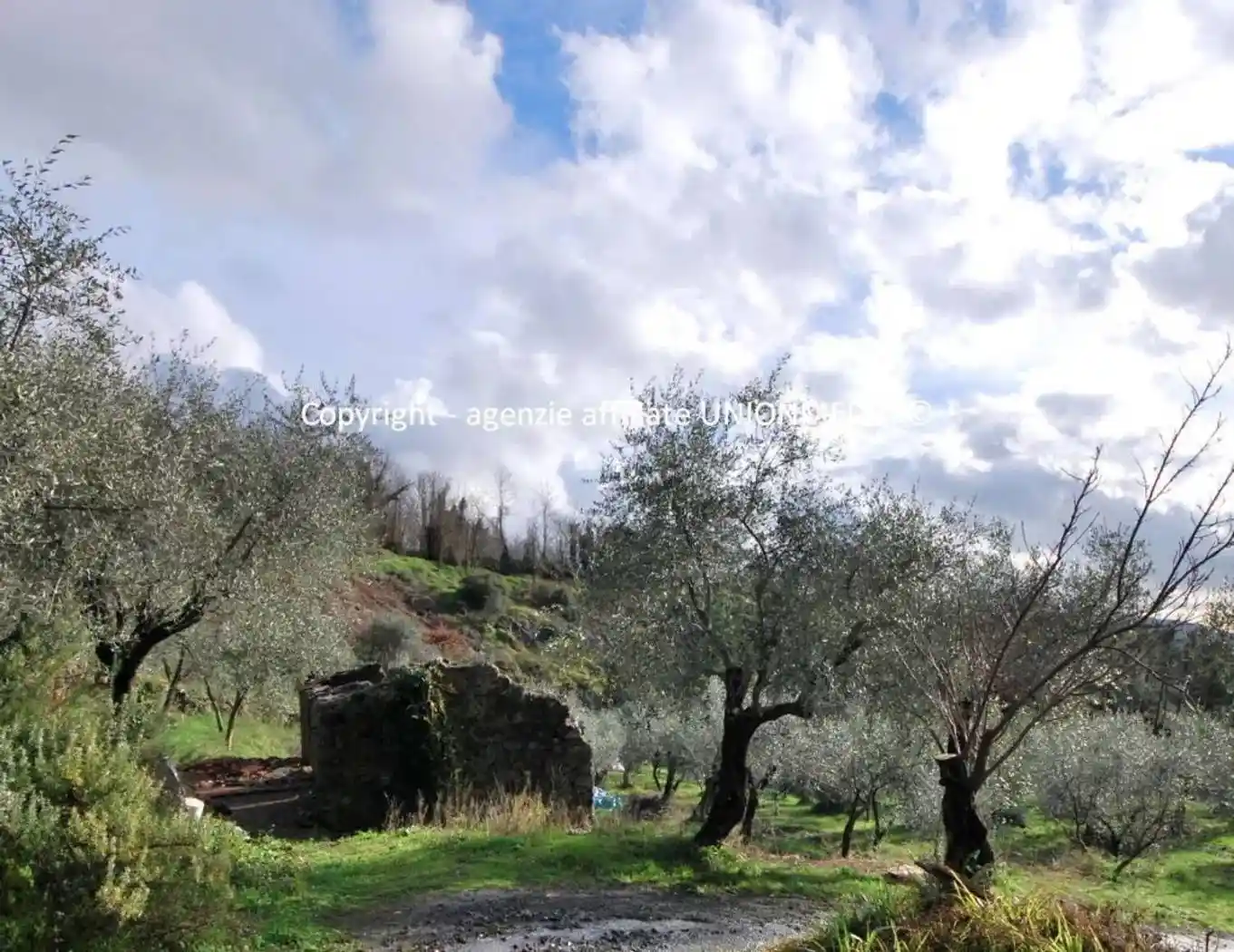 Rustico - Casale in vendita a Santo Stefano di Magra