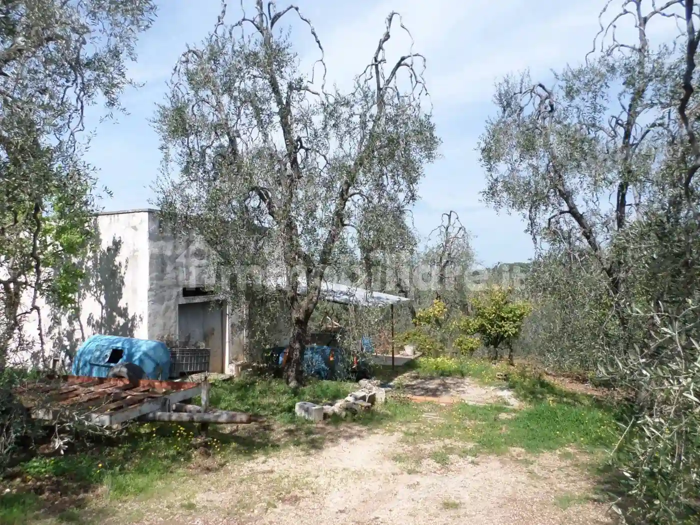 Rustico - Casale - foto 3