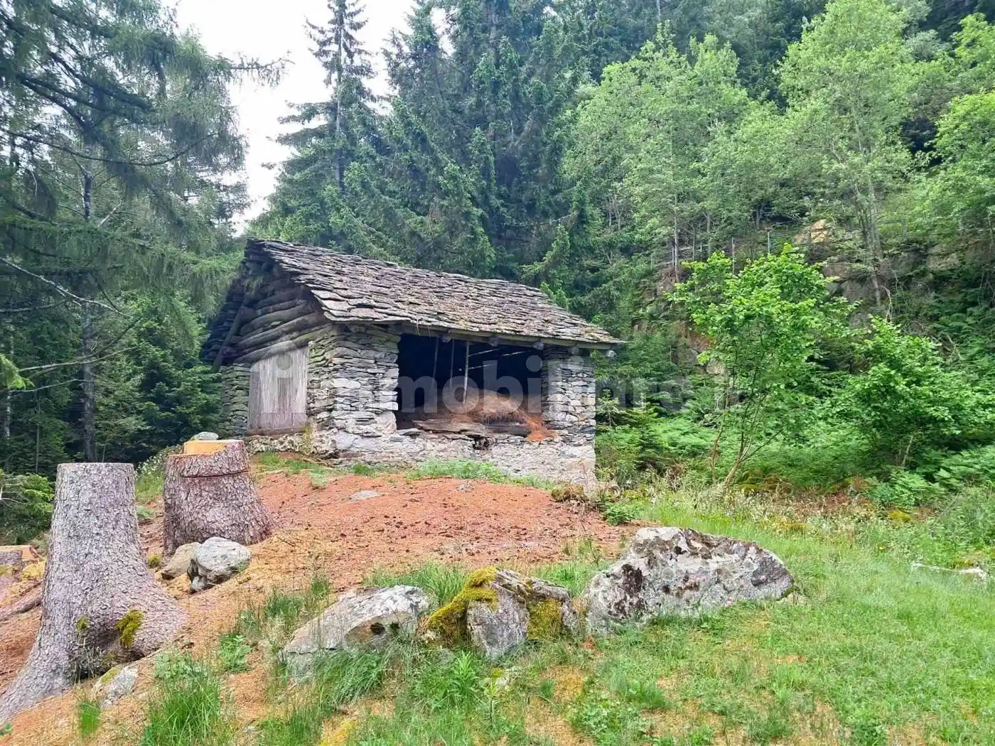 Rustico Tabiadascio, Villa di Chiavenna - foto 3