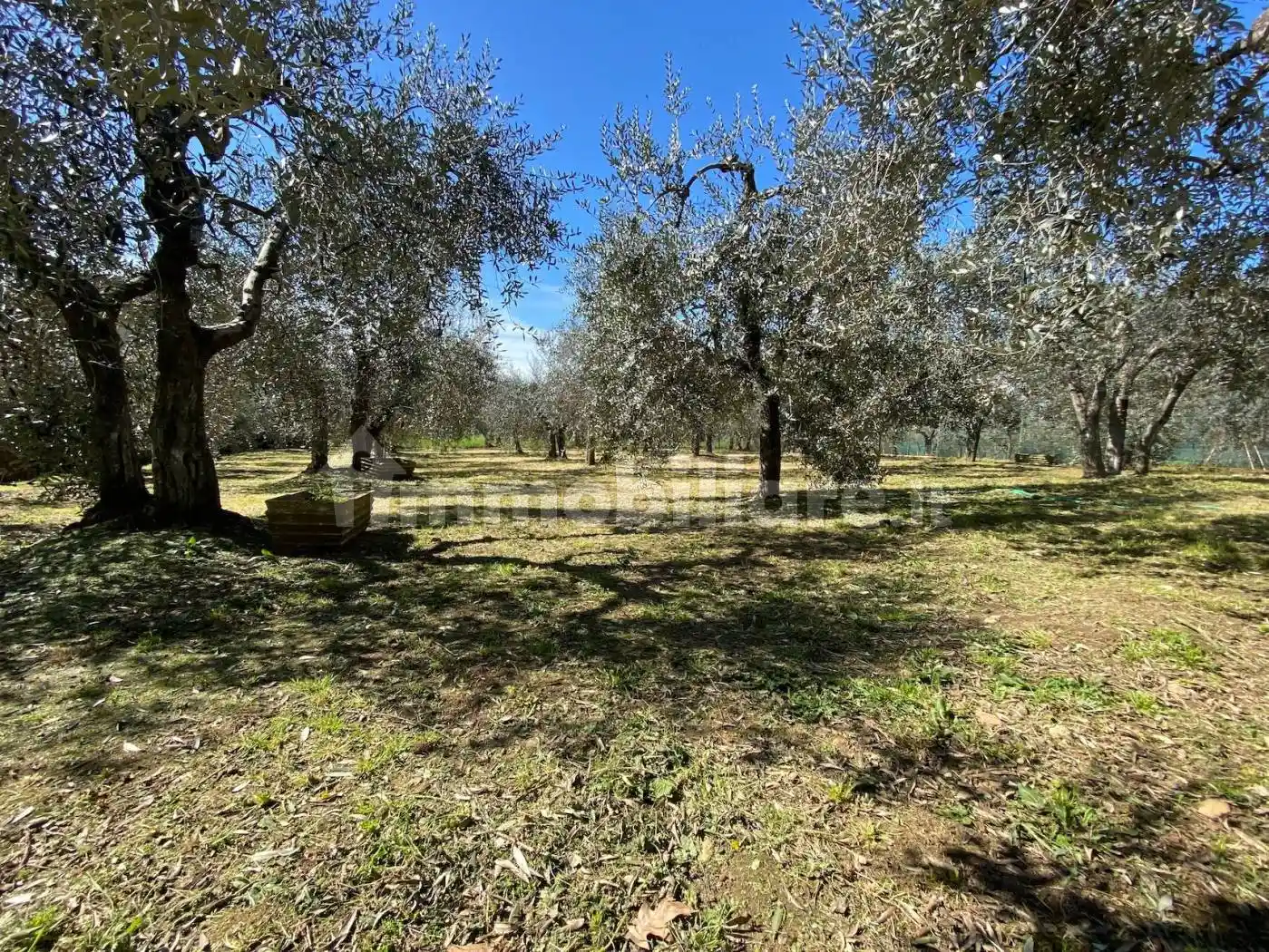Casa indipendente in vendita a Montelupo Fiorentino