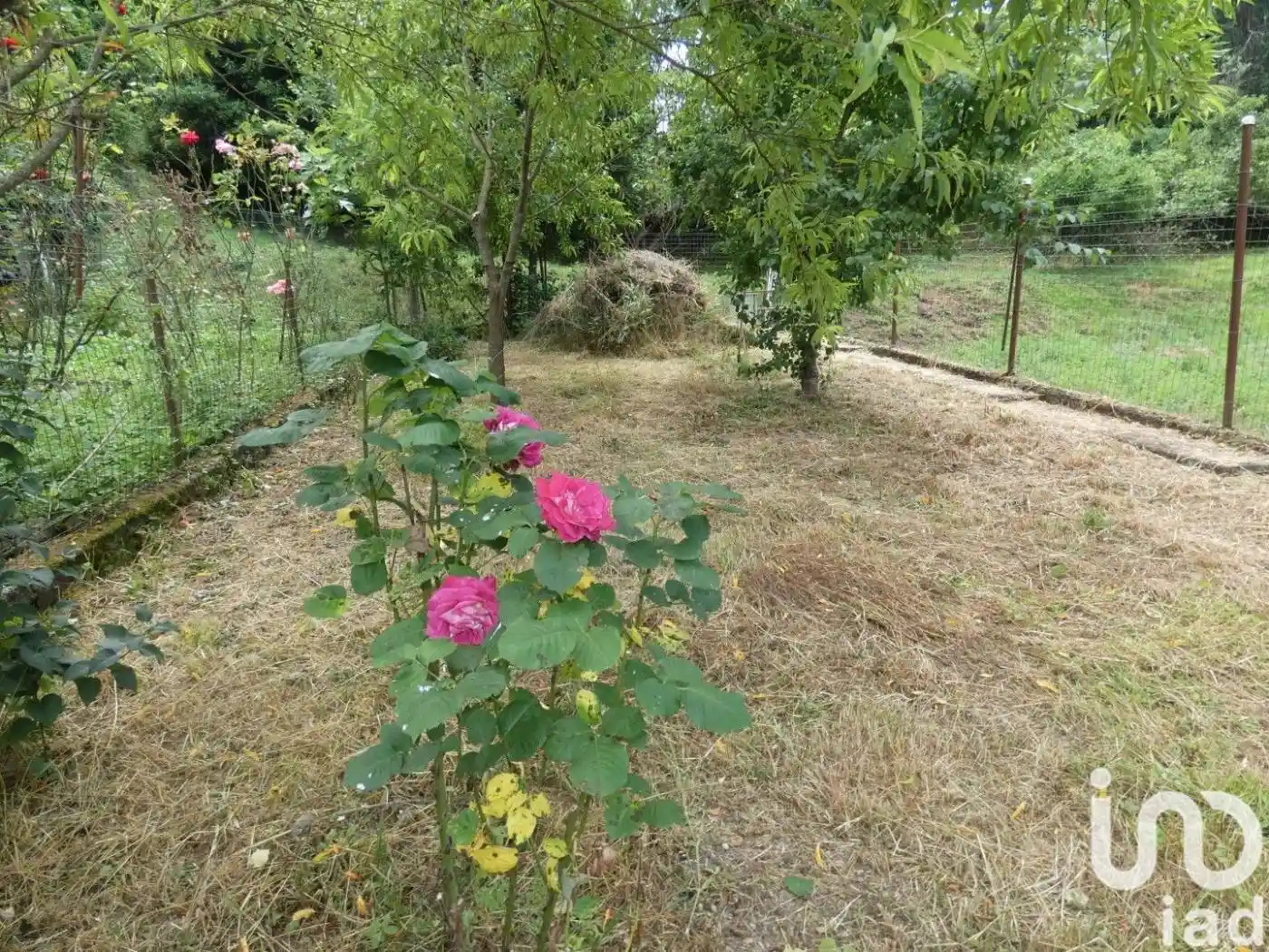 Appartamento in vendita a Carro