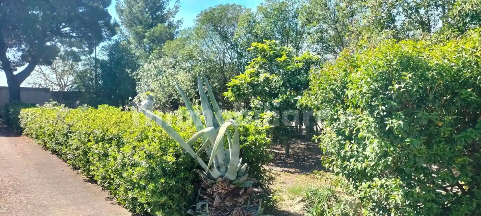 Villa unifamiliare Strada Provinciale, Via Napoli, Foggia - foto 3