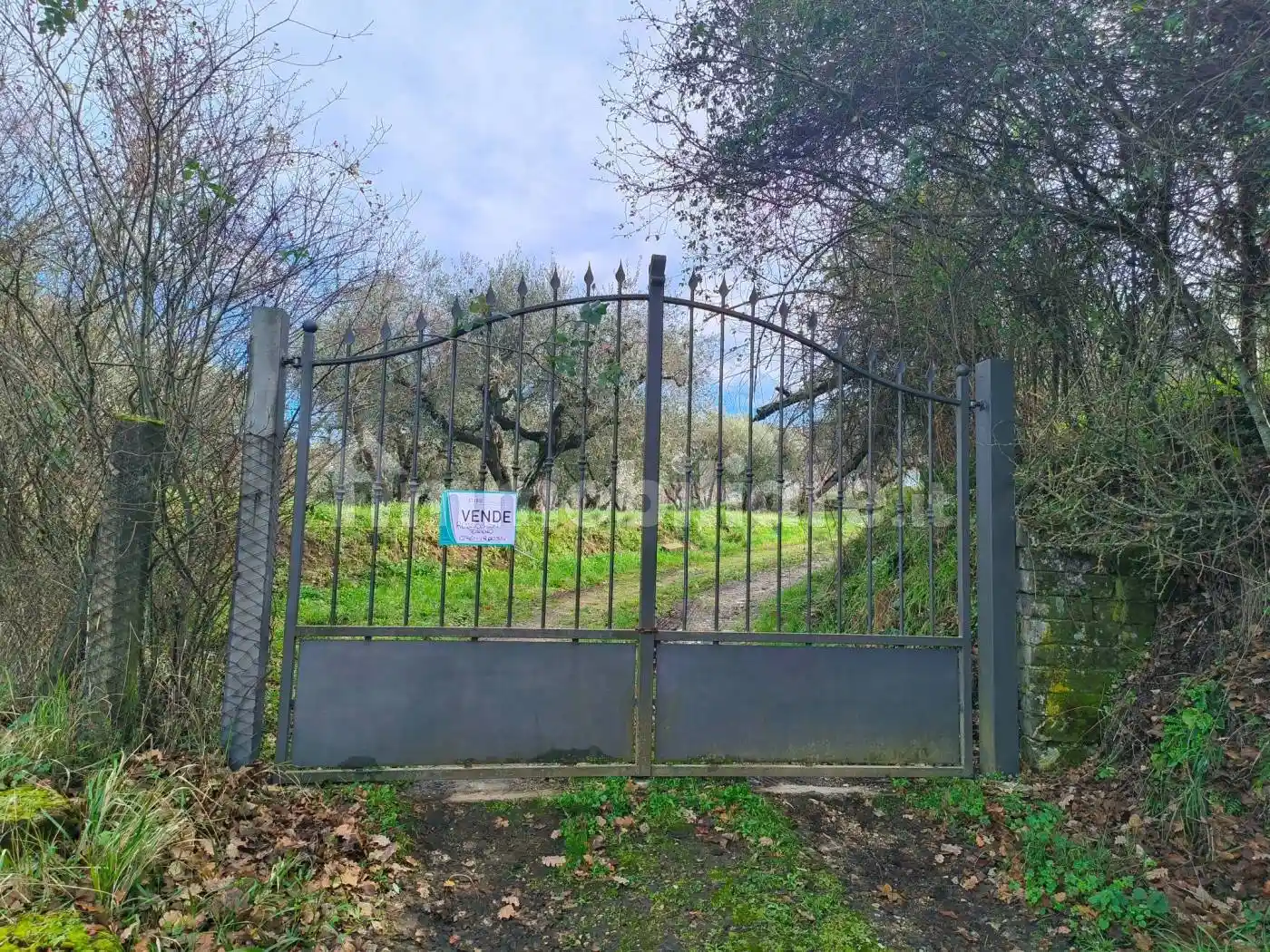 Rustico - Casale in vendita a Soriano nel Cimino