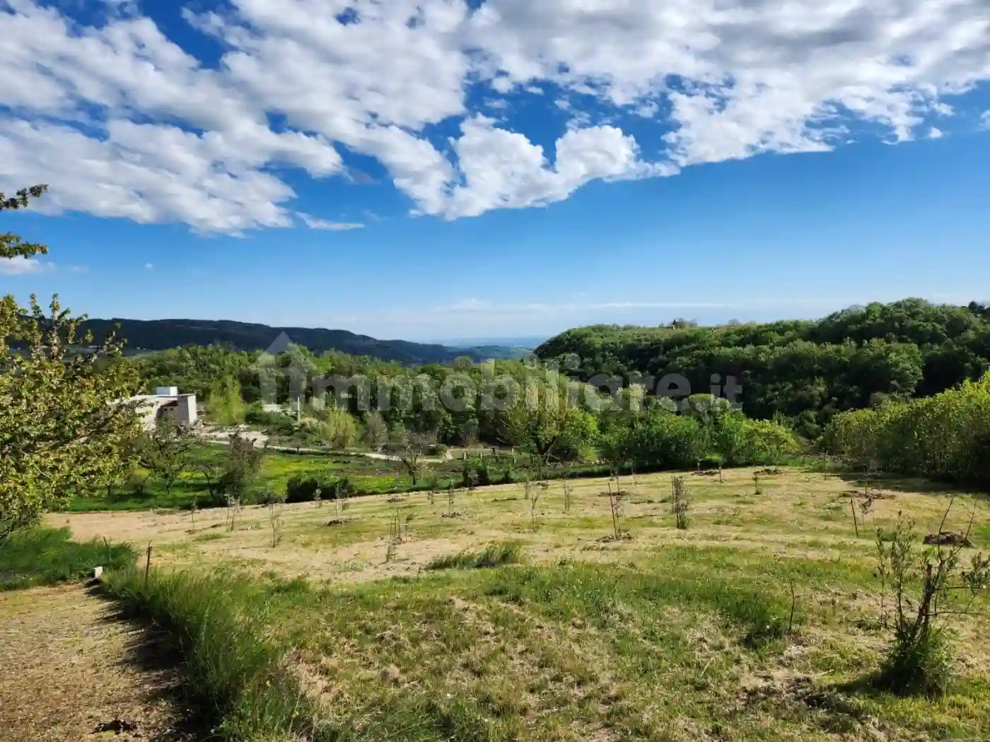 Palazzo - Edificio - foto 2