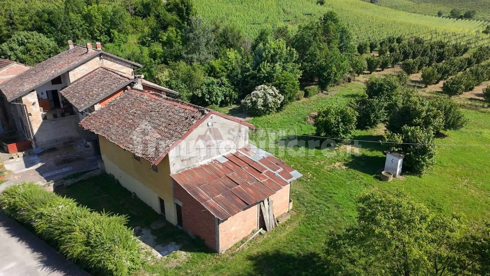 Cascina via Magliano Alfieri 32, Castellinaldo d'Alba - foto 4