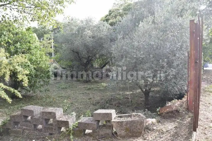 Casale Contrada Orfanotrofio, Ausonia - foto 3