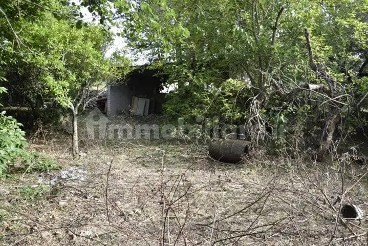 Casale Contrada Orfanotrofio, Ausonia - foto 5