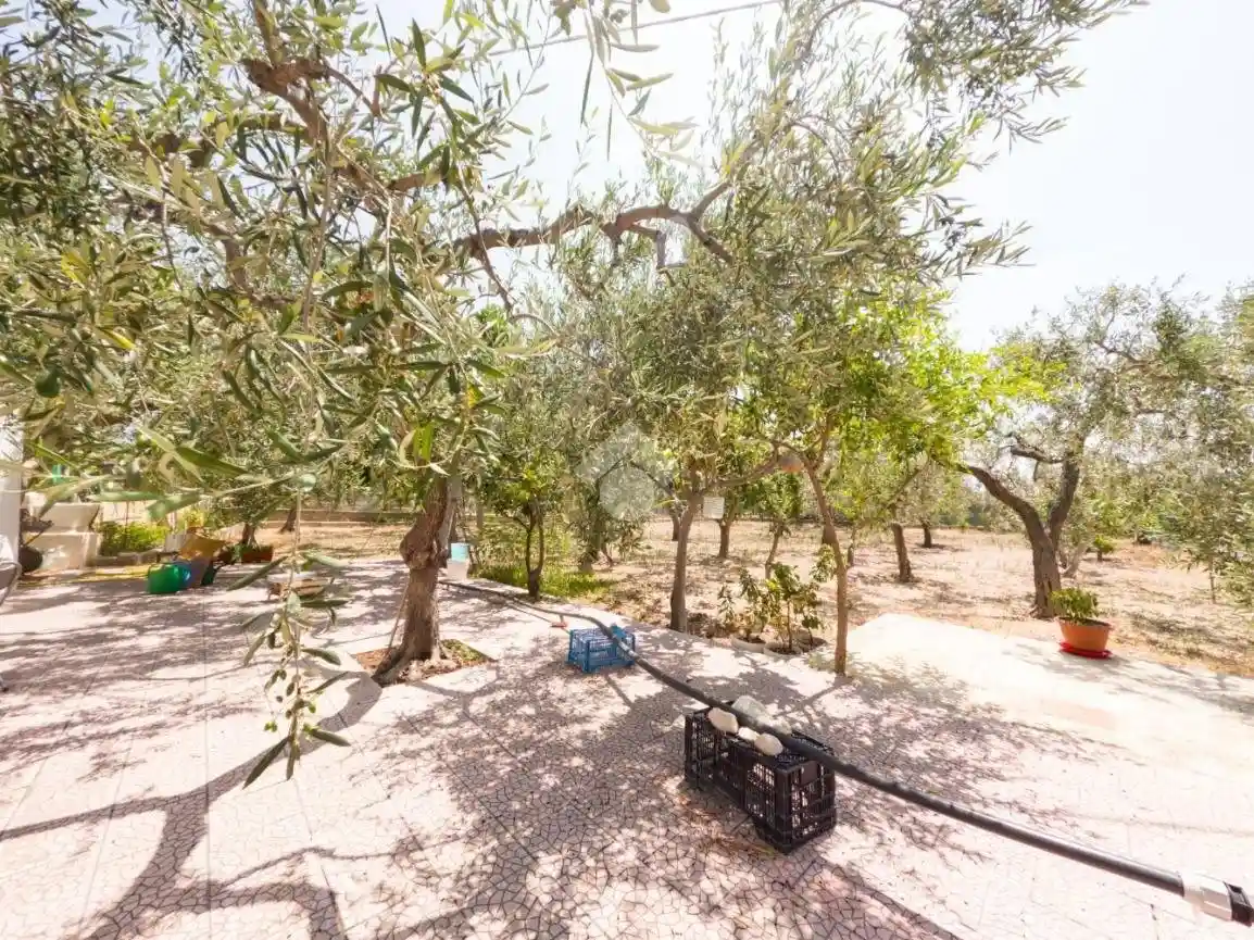 Casa indipendente - foto 4