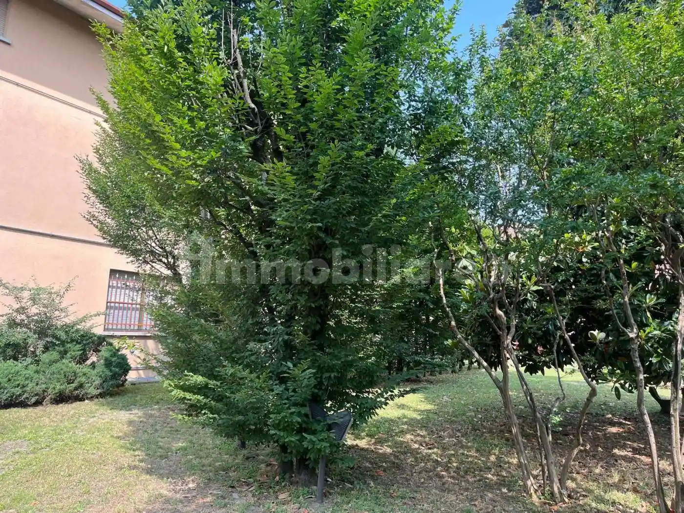 Villa bifamiliare via Scotti 35, Fontanella - foto 3