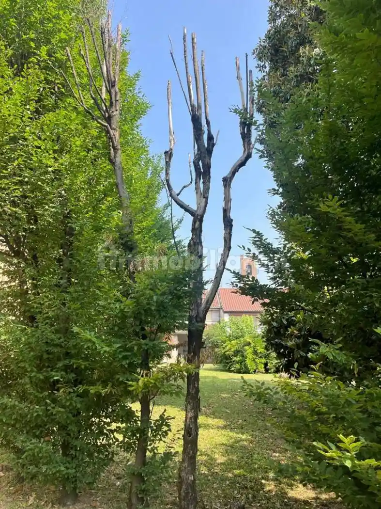 Villa bifamiliare via Scotti 35, Fontanella - foto 4