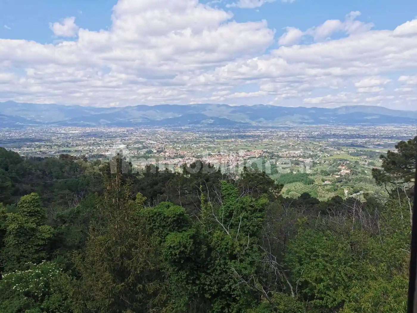 Villa in vendita a Larciano