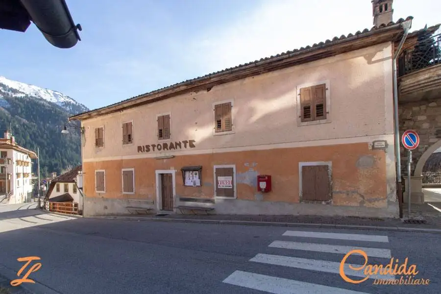 Palazzo - Edificio in vendita a Ravascletto