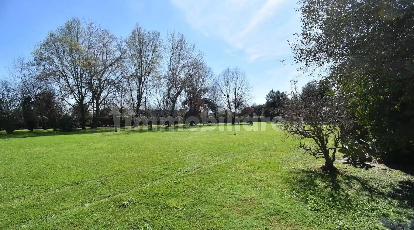 Villa unifamiliare via degli Olmi, Vaiana, Forte dei Marmi - foto 5