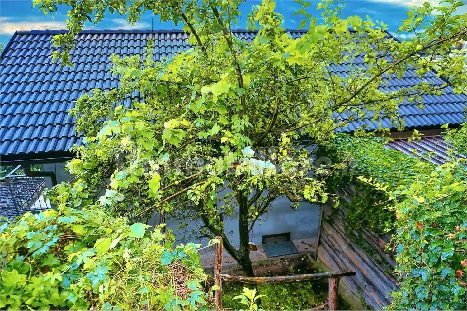 Villa unifamiliare via Domodossola San C., Beura-Cardezza - foto 3