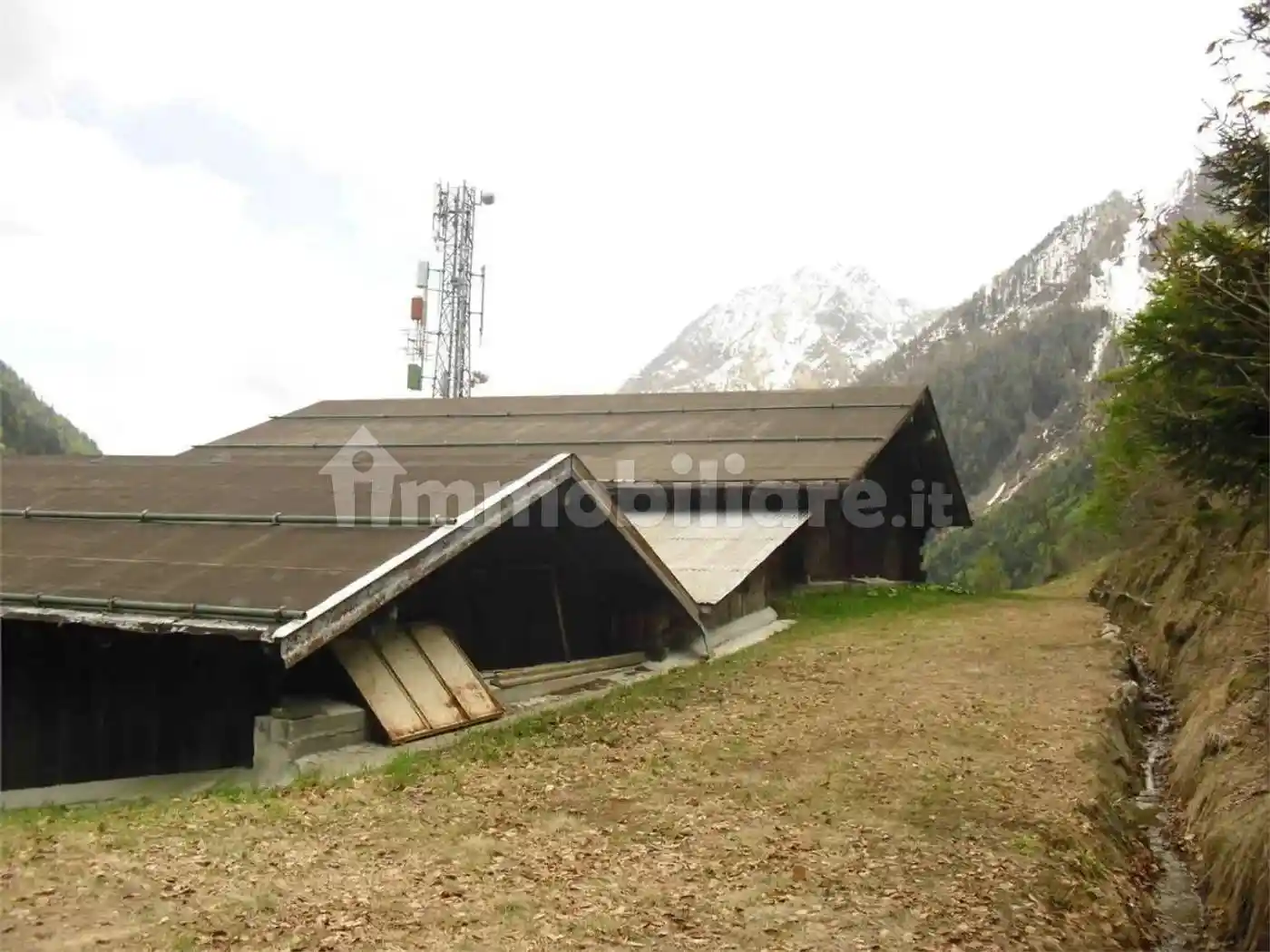 Rustico - Casale - foto 5